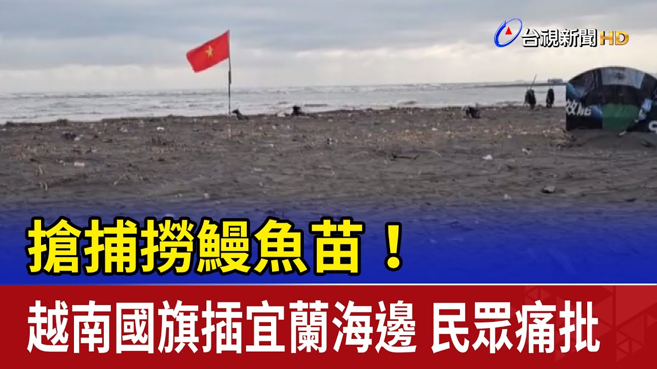 搶捕撈鰻魚苗！越南國旗插宜蘭海邊 民眾痛批