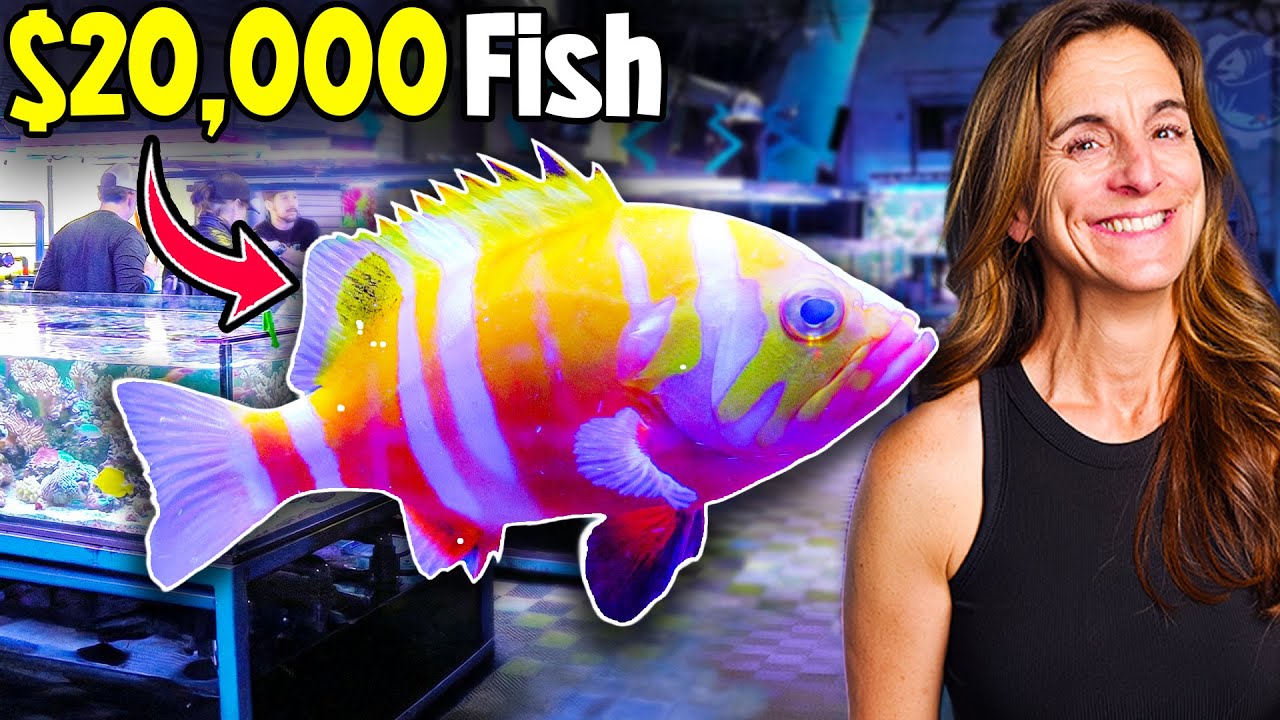 You Never See This Rare $20,000 Grouper!!