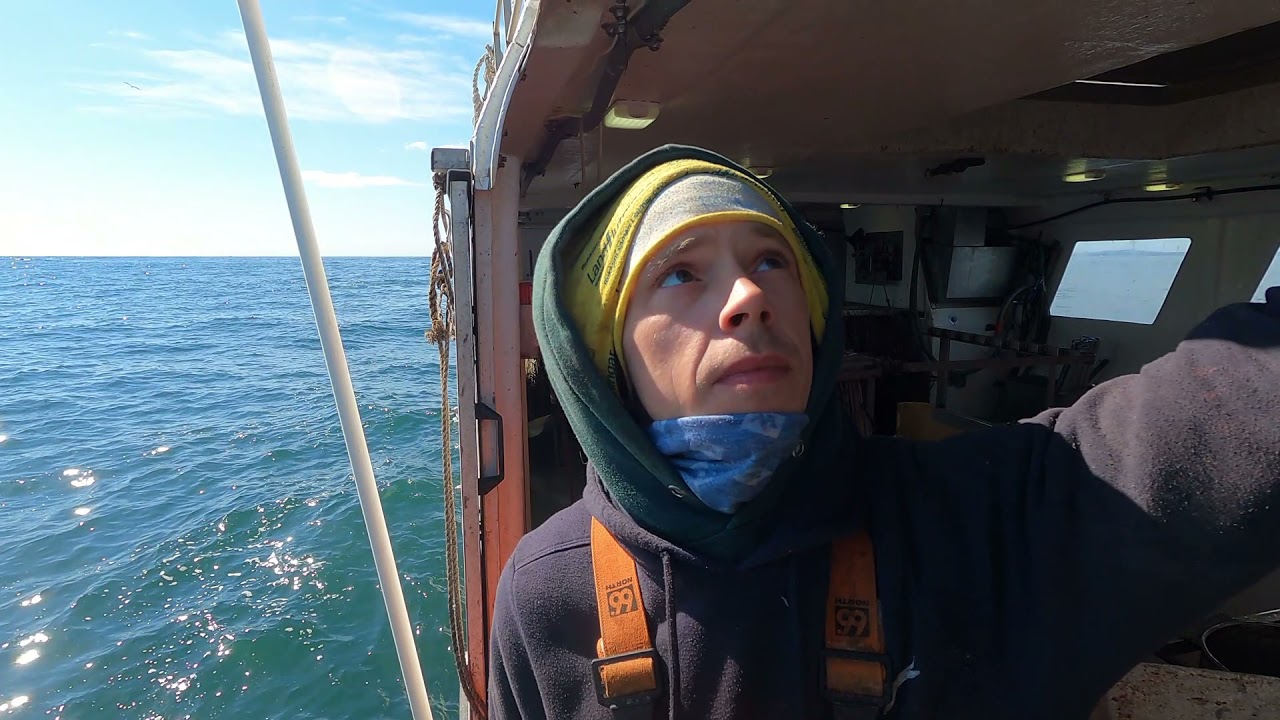 Autoline Fishing in Iceland in beautiful weather