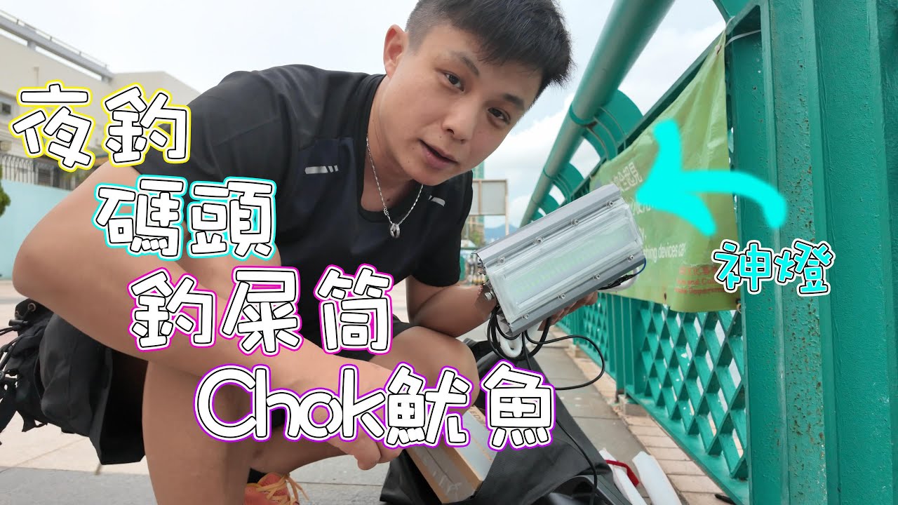 碼頭Chok魷魚｜吹筒｜屎筒｜小卷  #釣魷魚 #小卷