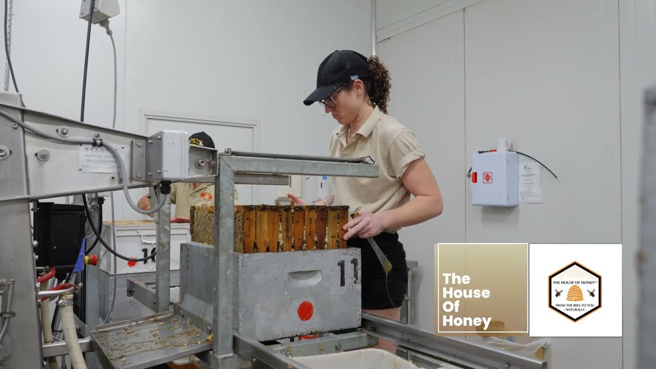 Extracting Honey: See how you extract honey frames I The House of Honey