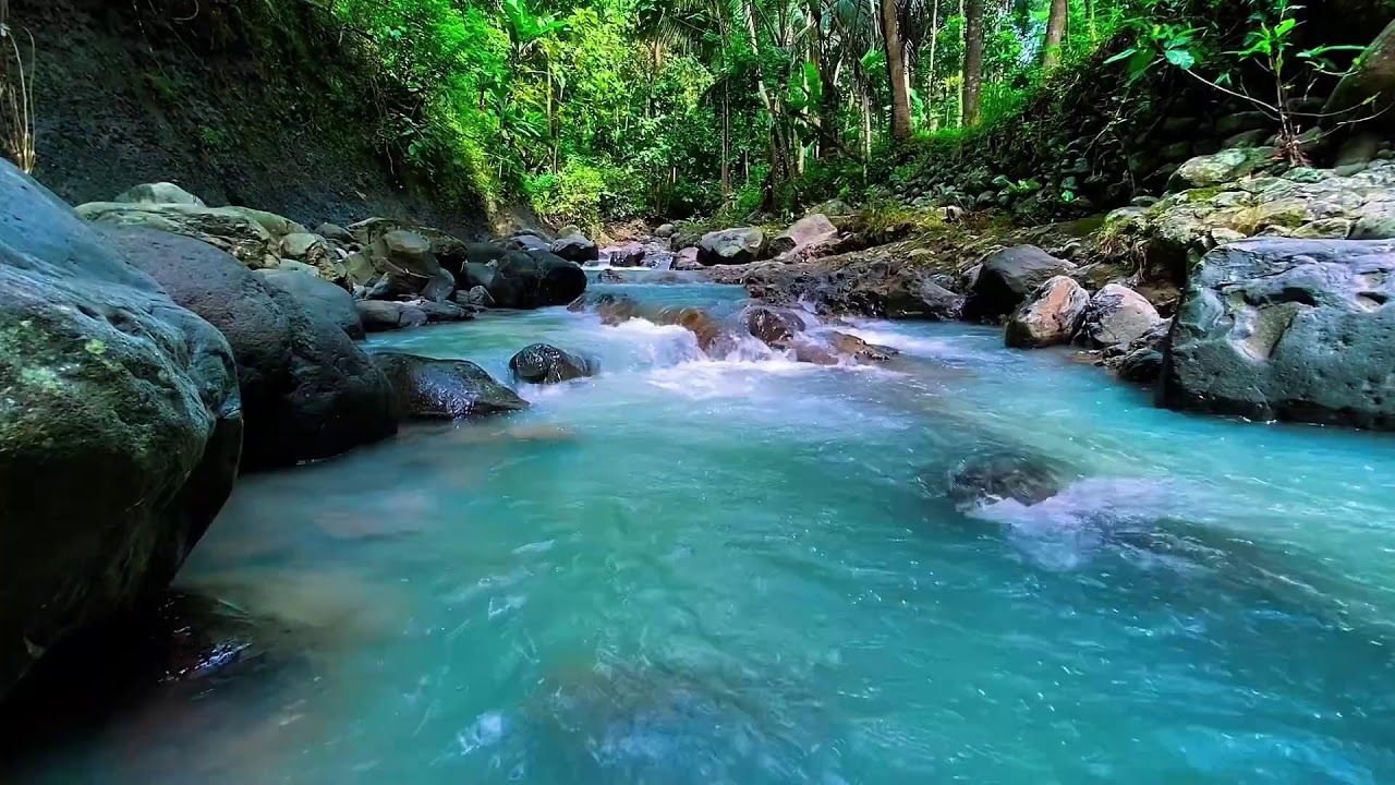 Natural Forest River Flow Sounds, Mountain Stream, Sleep