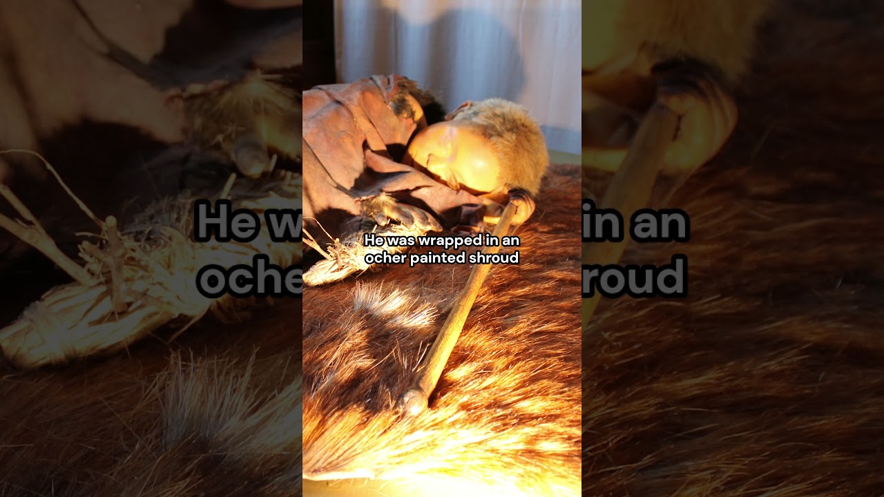The fact the humans mated Neanderthals into extinction... is something else | Lapedo Child