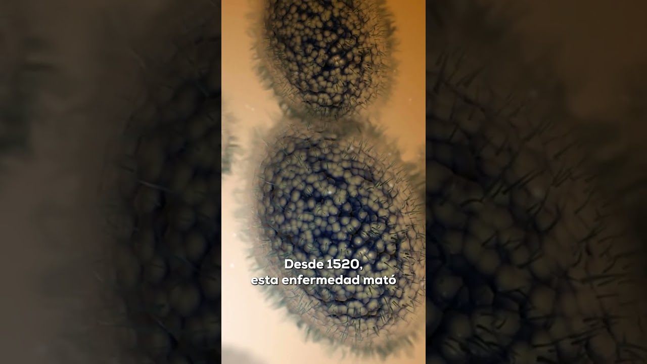 Las 5 PANDEMIAS m&aacute;s LETALES de la HISTORIA 😷🌍💀