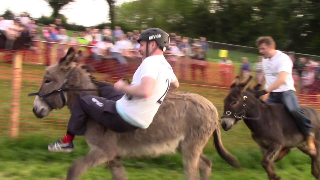 McCann's Donkey Derby