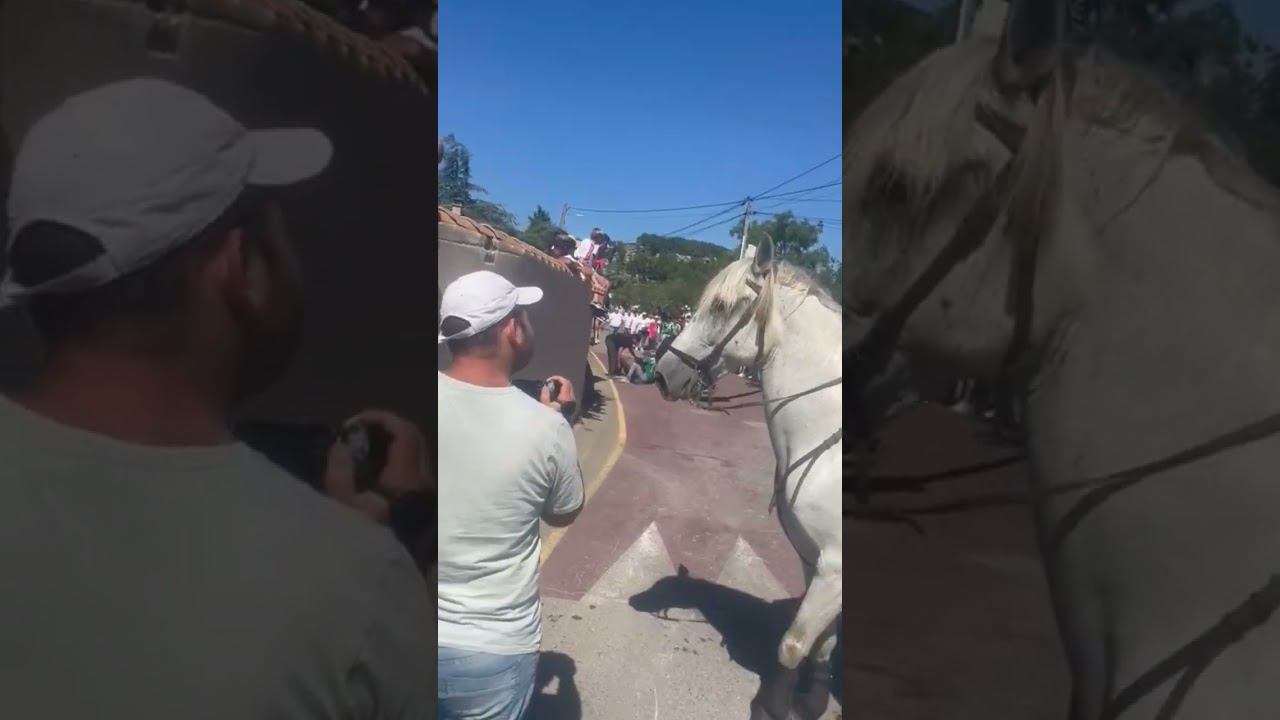 concours attrapail Beaucaire