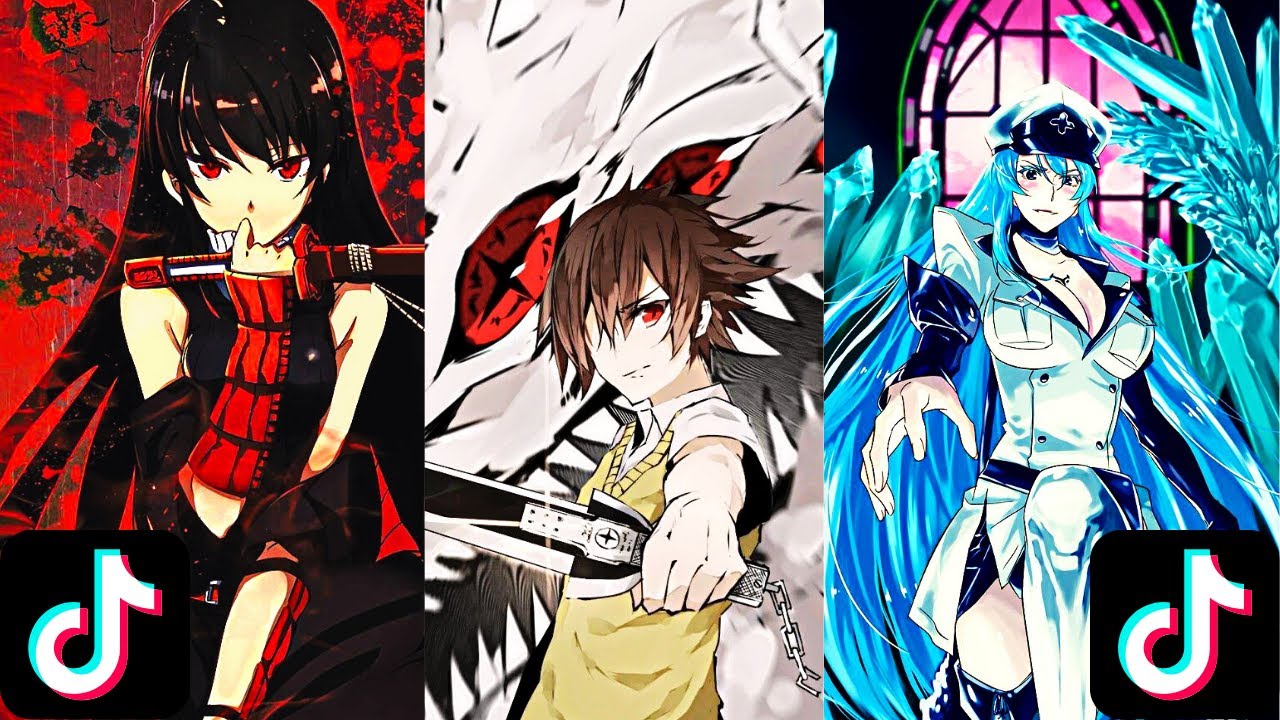 Anime Akame ga Kill! ✦ TikTok compilation【1】