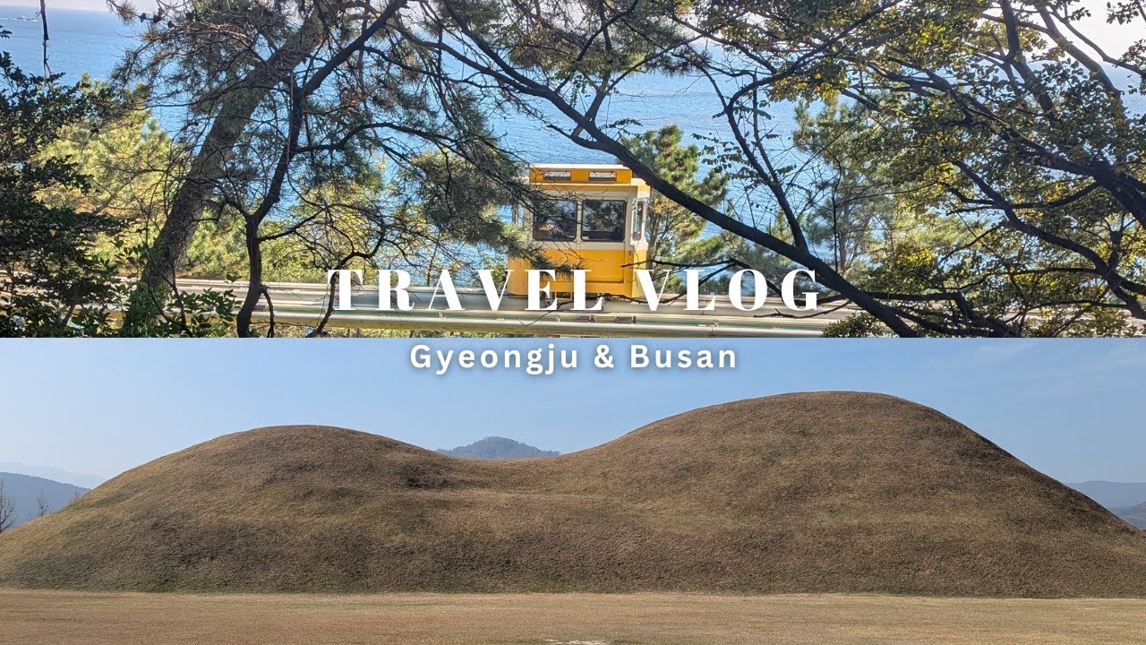Golden November Days in Gyeongju & Busan | 3-Day Korea Trip