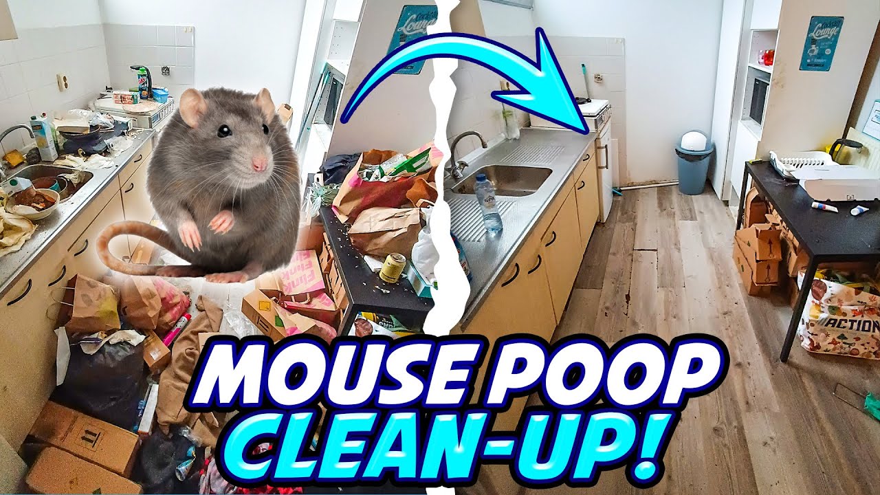 DRUGS AND MICE TOOK OVER HER HOME - Free Decluttering and Organizing
