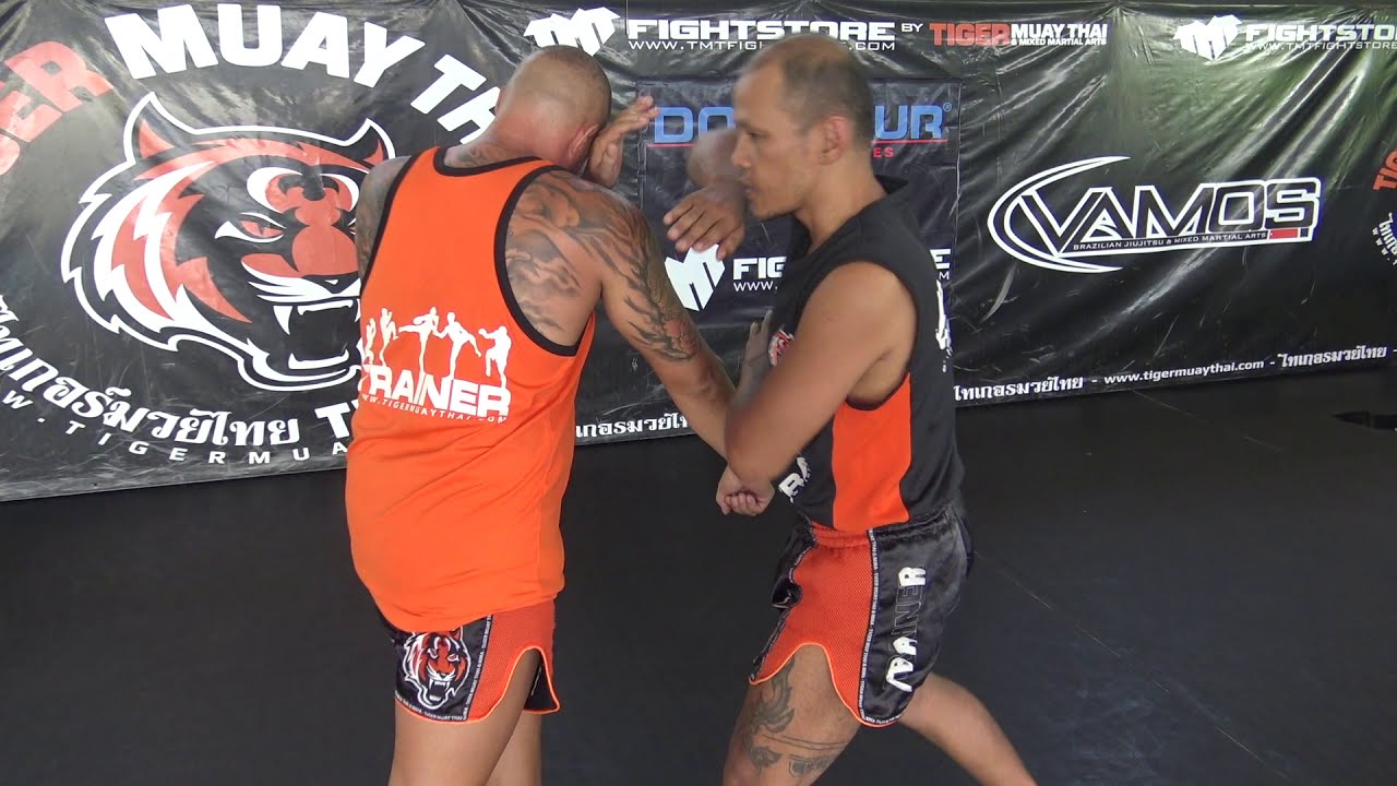 Mae Mai Muay Boran Technique: Salab Fan Pla