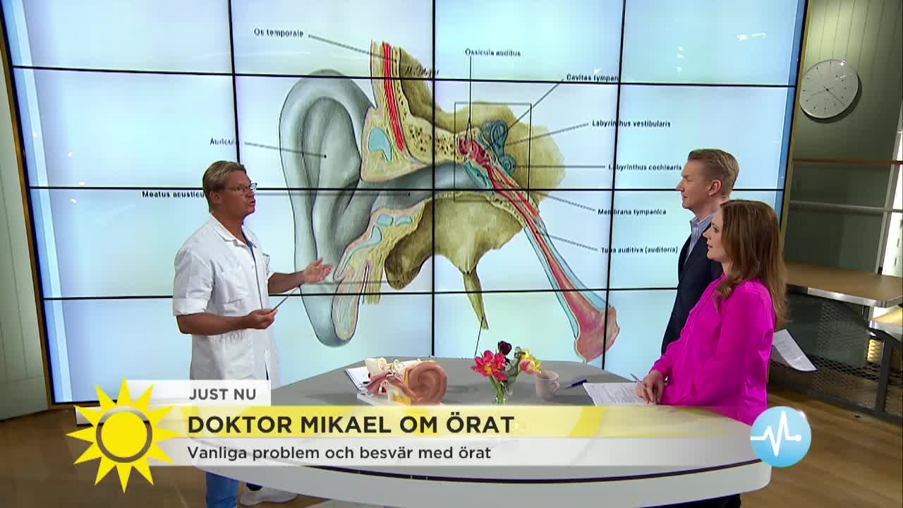 Doktor Mikael: Det här kan du göra för att slippa öronproblem - Nyhetsmorgon (TV4)