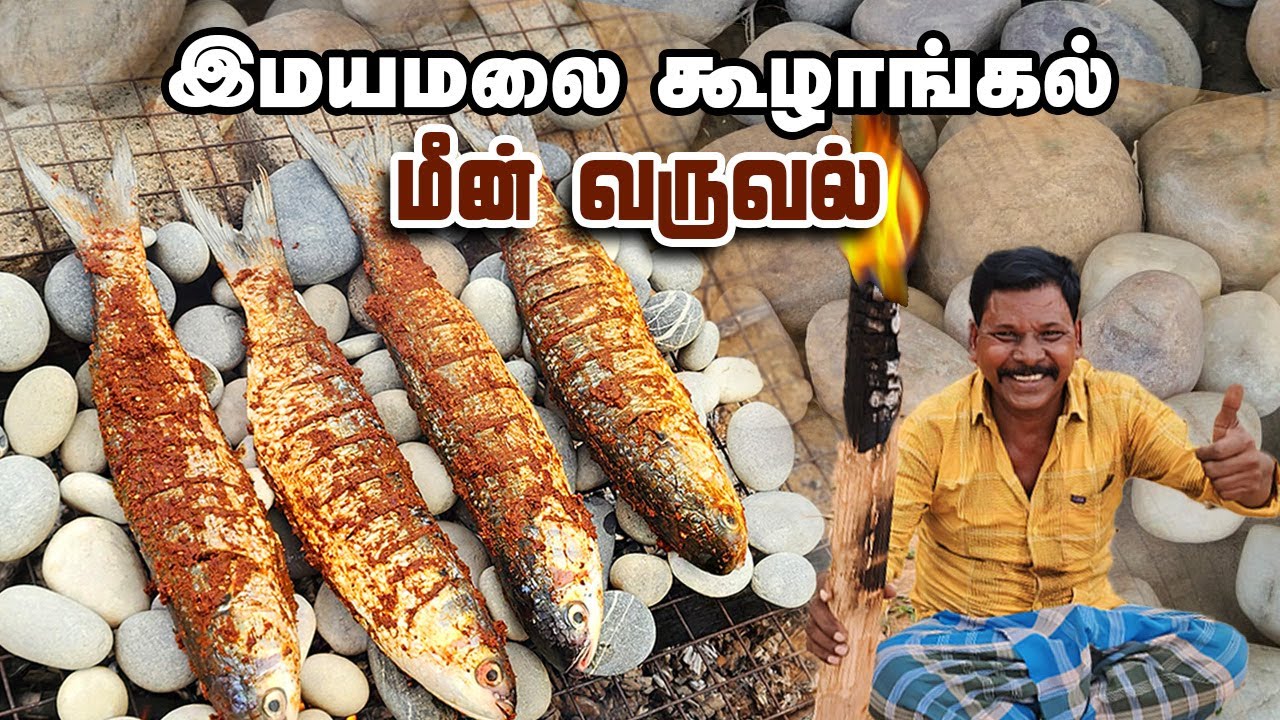 இமயமலை கூழாங்கல் - மீன் வறுவல் | Himalayan Pebble Fish Fry 🤩