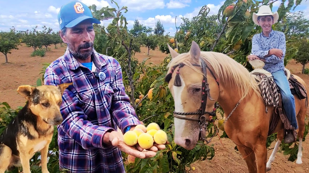 AQUÍ NO NOS LLUEVE, pero TODO ES VOLUNTAD DEL DE ARRIBA