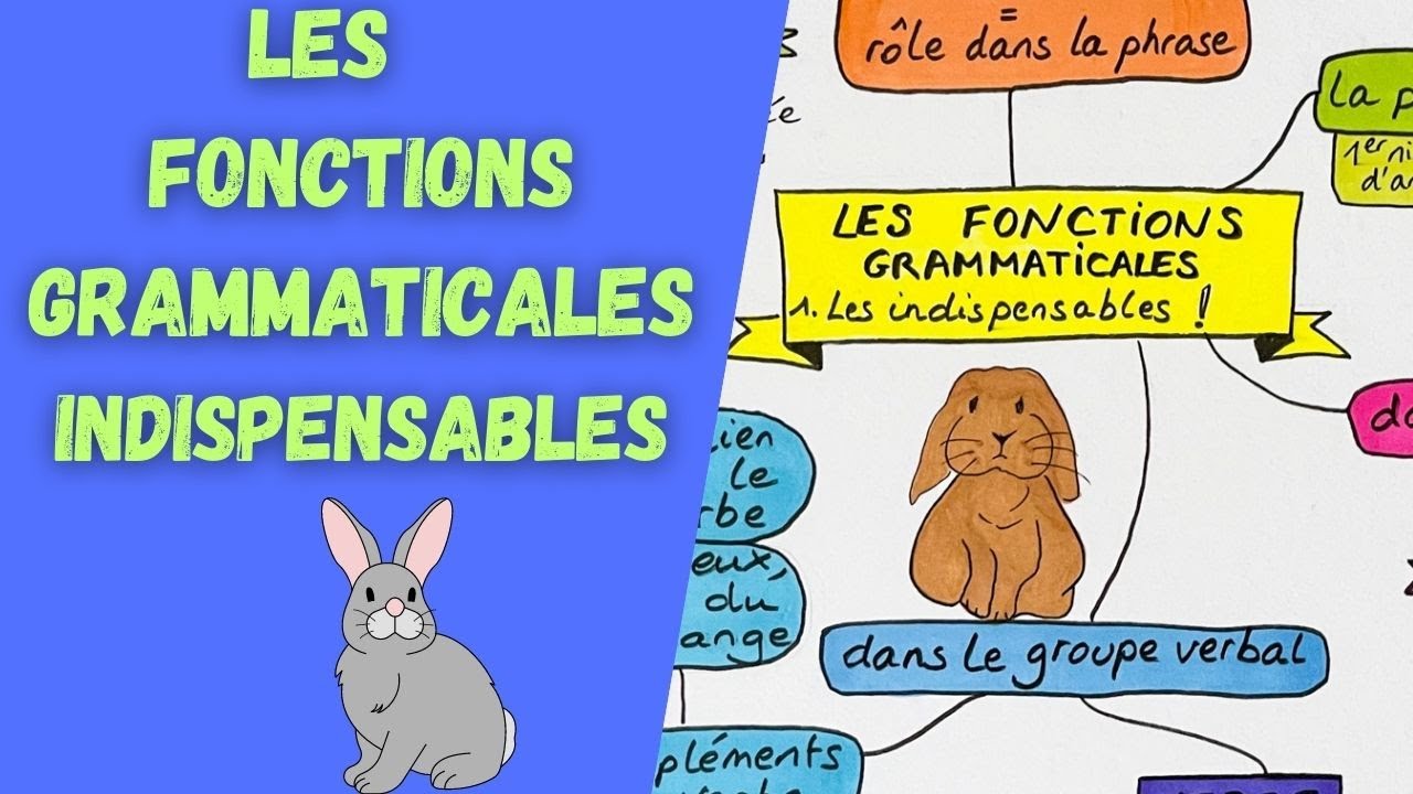 LES 7 FONCTIONS GRAMMATICALES indispensables !
