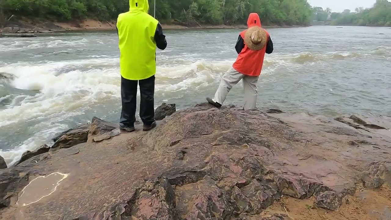 30 Stripers from The Rocks, Roanoke river Striper fishing, Weldon Boat ramp, Weldon NC