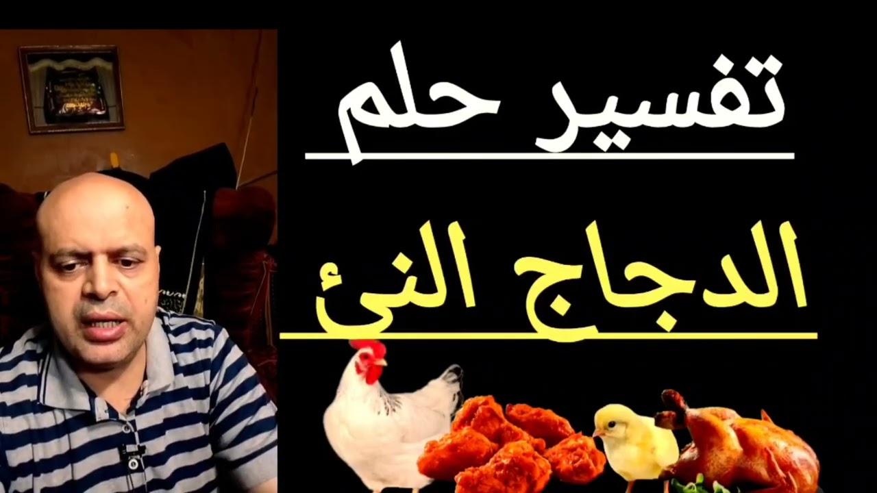 تفسير رؤية الدجاج النئ في المنام، الدجاج في الحلم، Chickens in a dream، تفسير الأحلام 