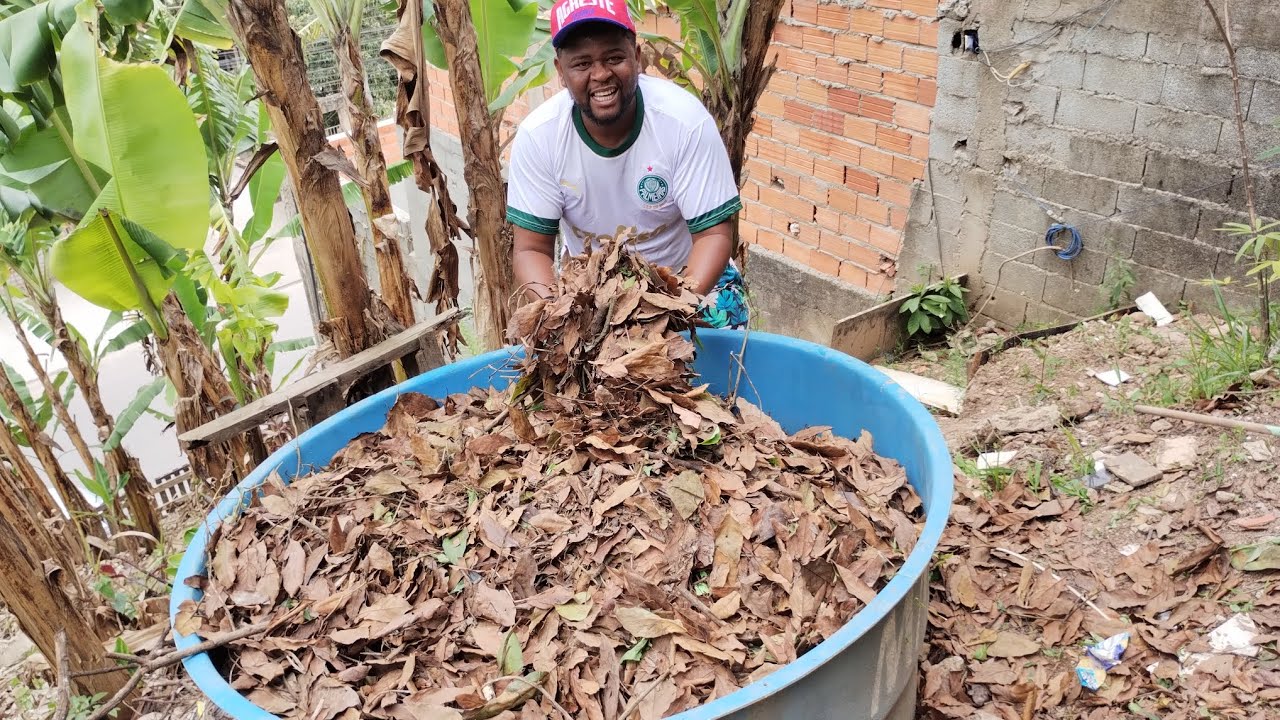 COMO FAZER COMPOSTAGEM DE FOLHA SECA EM CAIXA D'ÁGUA NO QUINTAL DE CASA.