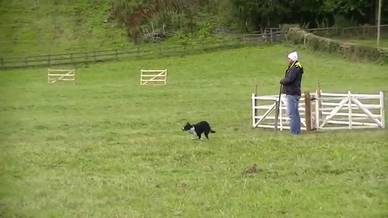 Roman Holeček + Linka ISDS CZ/311210 (Pita) závody Wales