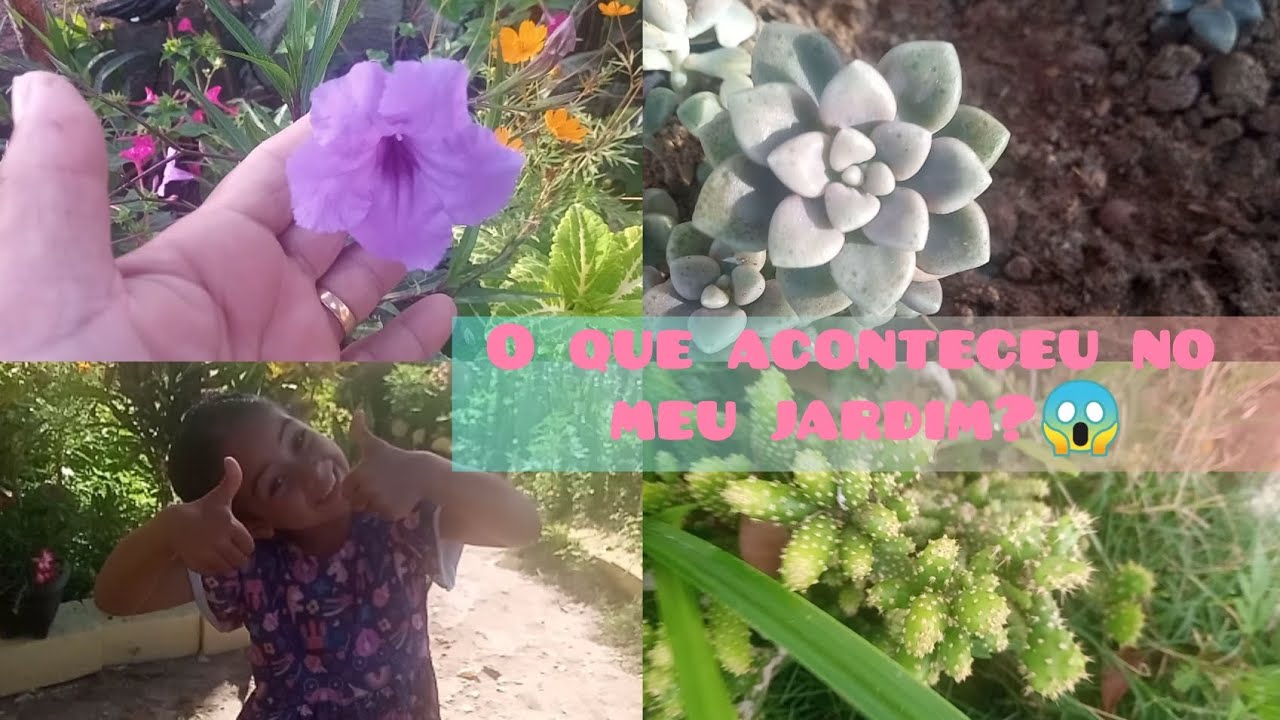 Estou de volta meus amores - Algumas coisas mudaram por aqui