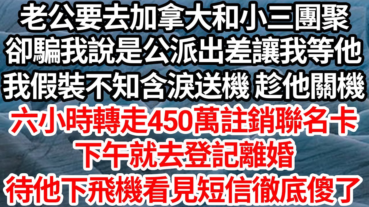 老公要去加拿大和小三團聚，卻騙我說是公派出差讓我等他，我假裝不知含淚送機 趁他關機，六小時轉走450萬註銷聯名卡，下午就去登記離婚，待他下飛機看見短信徹底傻眼了【倫理】【都市】