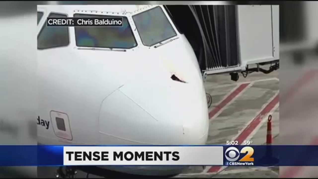 Bird Strike Forces JetBlue Flight To Make Emergency Landing At JFK