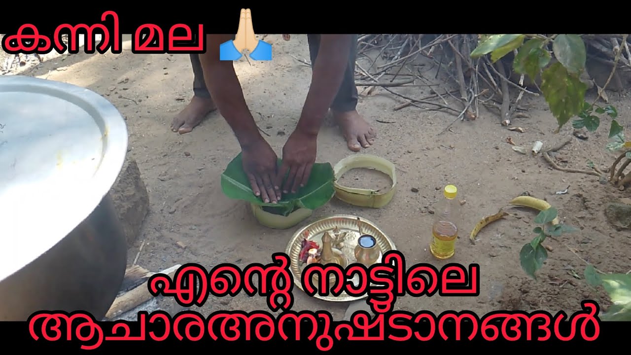 എന്റെ നാട്ടിലെ ആചാരഅനുഷ്ടാനങ്ങൾ 🙏🏻#familyvlog #swamisaranamayyappa #swami #malikapuram #blessings 