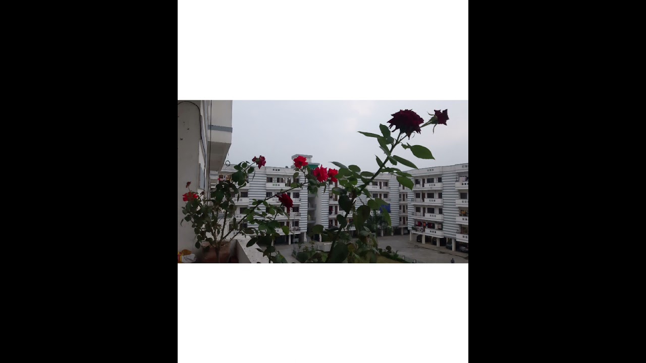 #covid2ndwave #lockdown Mastana mausam hai🎵🎶🎼 🎹🎺🎻🎤🎧🎷🎸sung by me&hearts;️💝💖💐