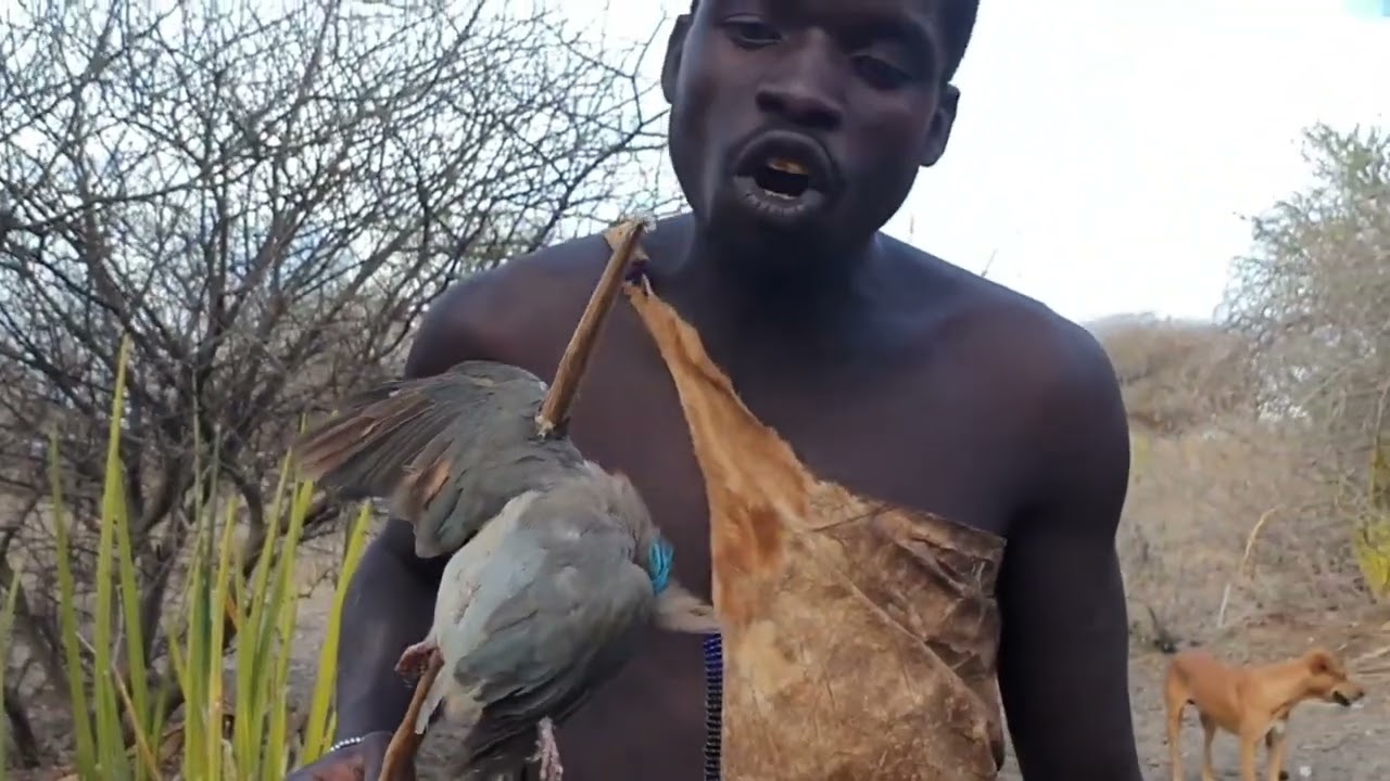 The Hunt: Exploring Tribal Culture in the Wild
