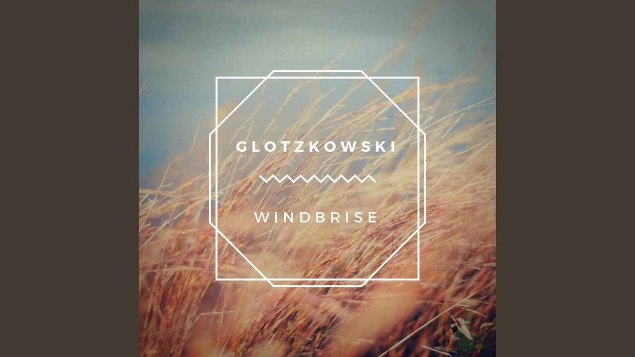 Windbrise