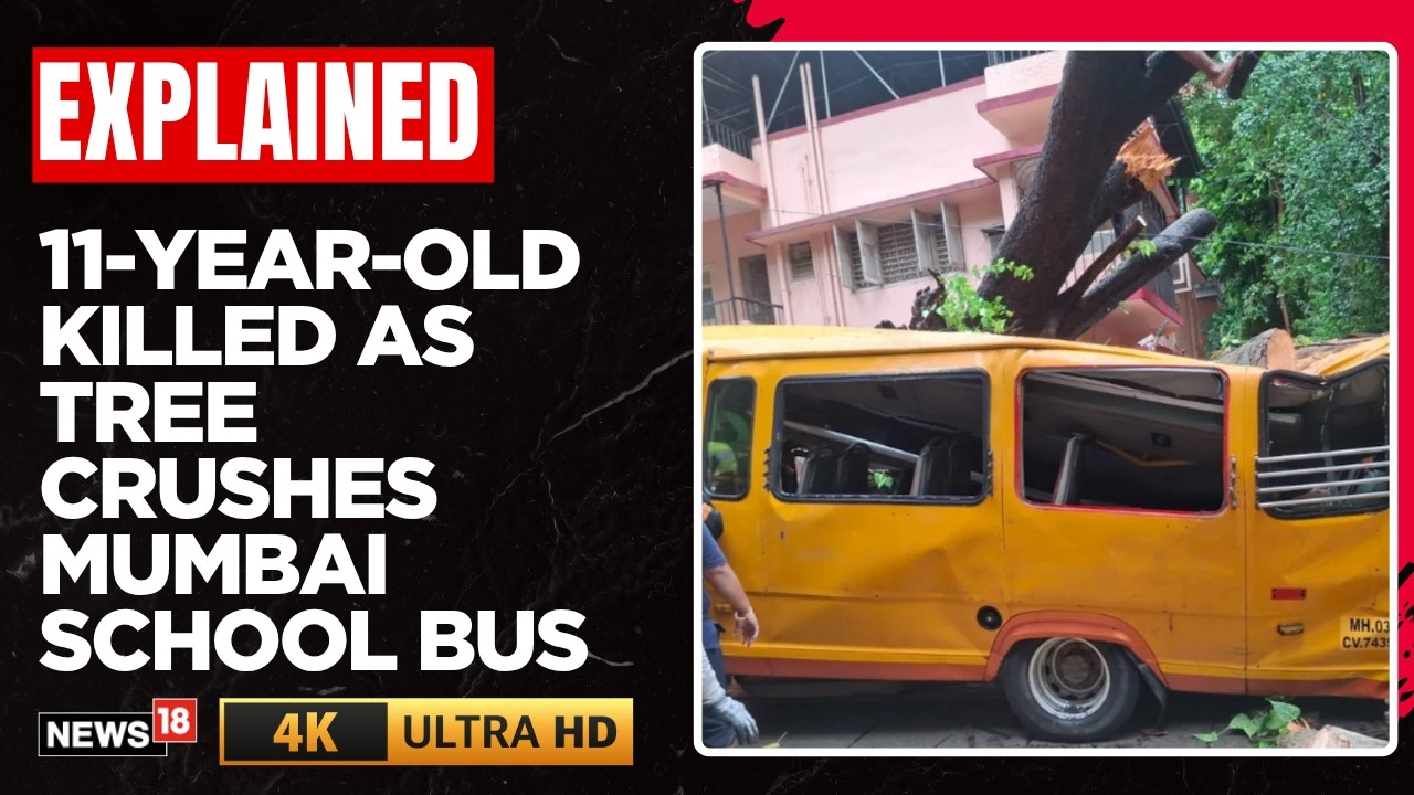 Mumbai Rains: Child Dies As Tree Falls On School Bus; Anger Over BMC Negligence | N18V | 4K Video