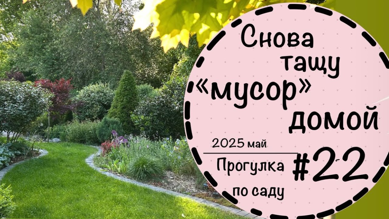 ☘️Прогулка по саду  - 22☘️Вечнозелёная аллея☘️Новые планы☘️Невероятная обновка☘️Обзор частного сада
