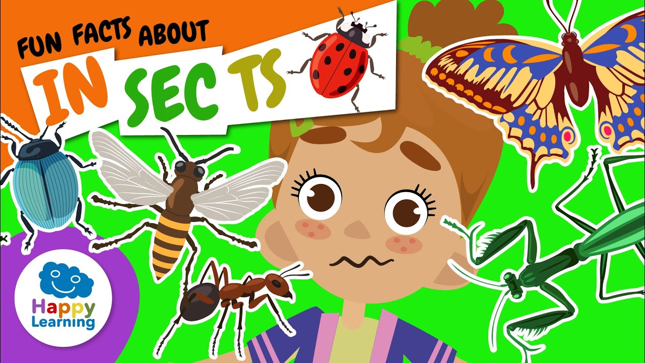 🐞 Learn ALL About INSECTS | Educational Videos for Children | @HappyLearningENG