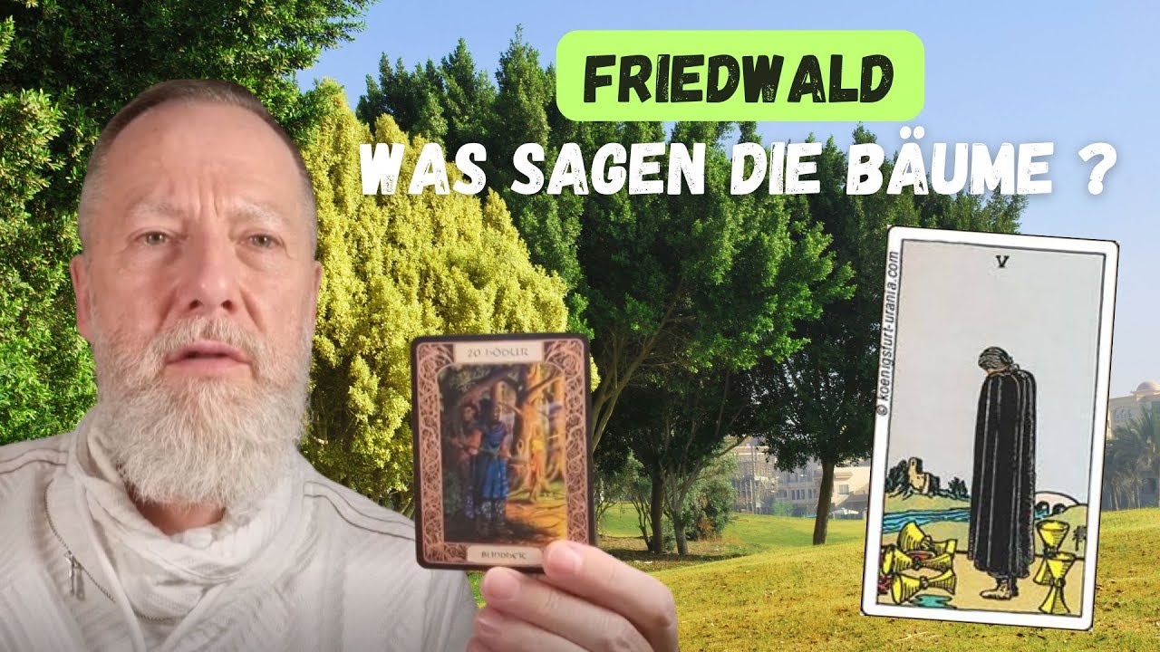 Friedwald: Was erz&auml;hlen uns die B&auml;ume &uuml;ber neue Begr&auml;bnisse?