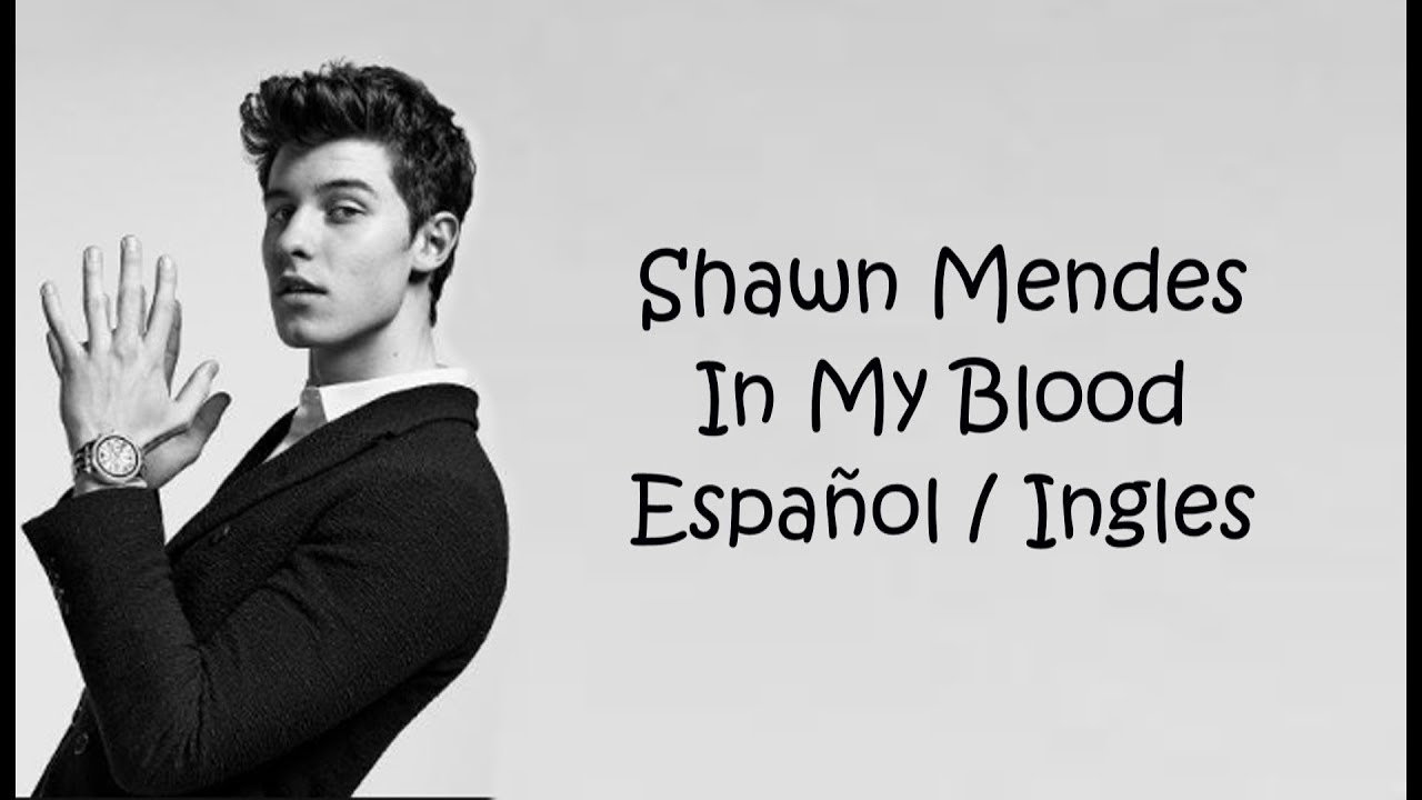Shawn Mendes - In My Blood (Sub Español - Ingles)