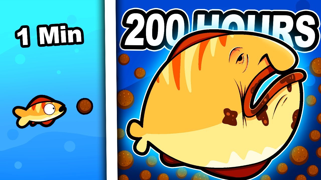 I Force Fed my Fish For 200 Hours
