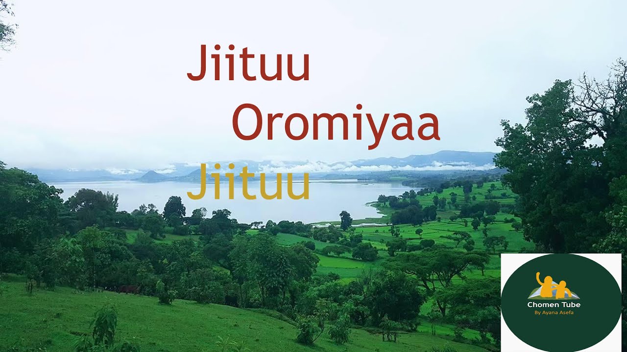 Jiituu oromiyaa jiituu