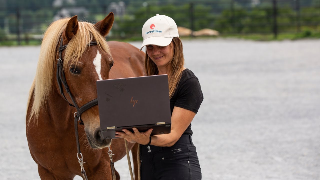 FREE Online Riding Workshop - 3 Big MYTHs in Riding