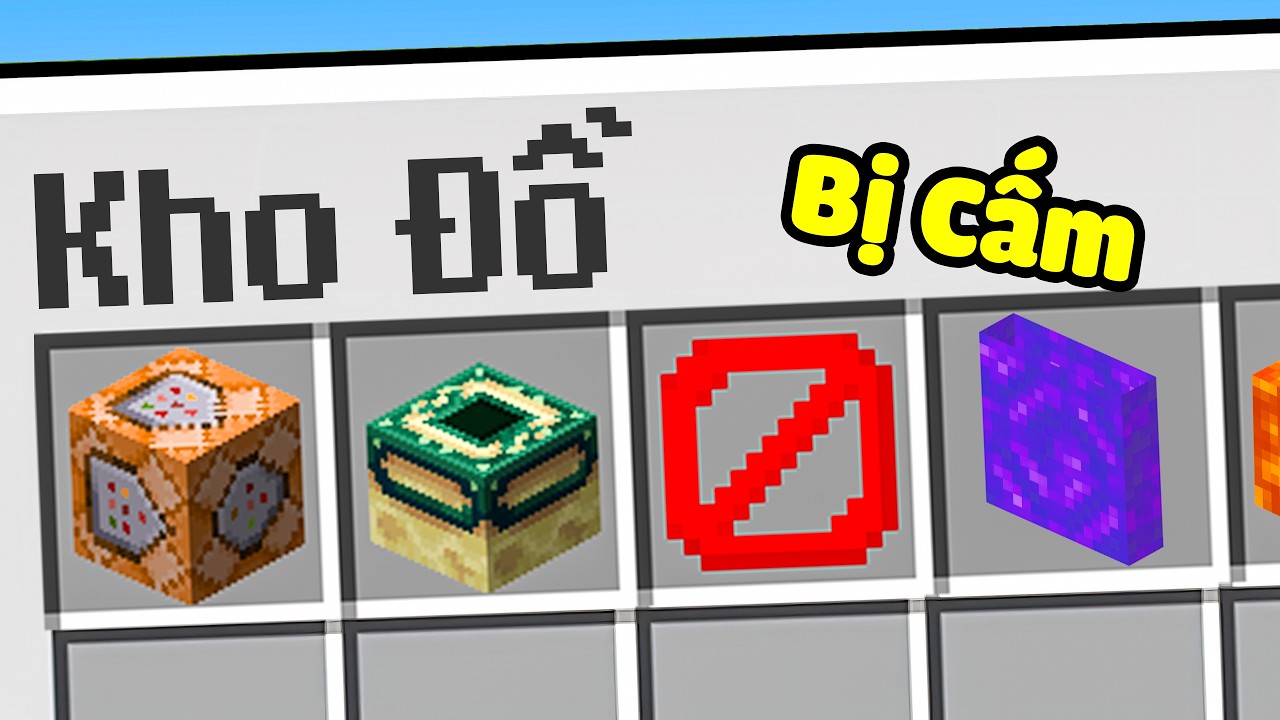 I own Illegal Items in Minecraft