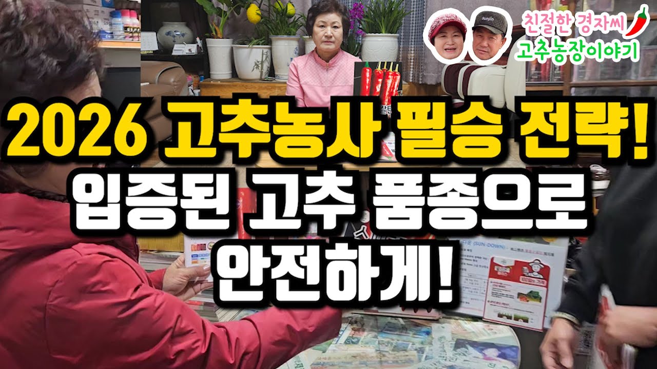 2026년 고추농사 망하지 않으려면 입증된 고추품종으로 간다! 간다! 간다!
