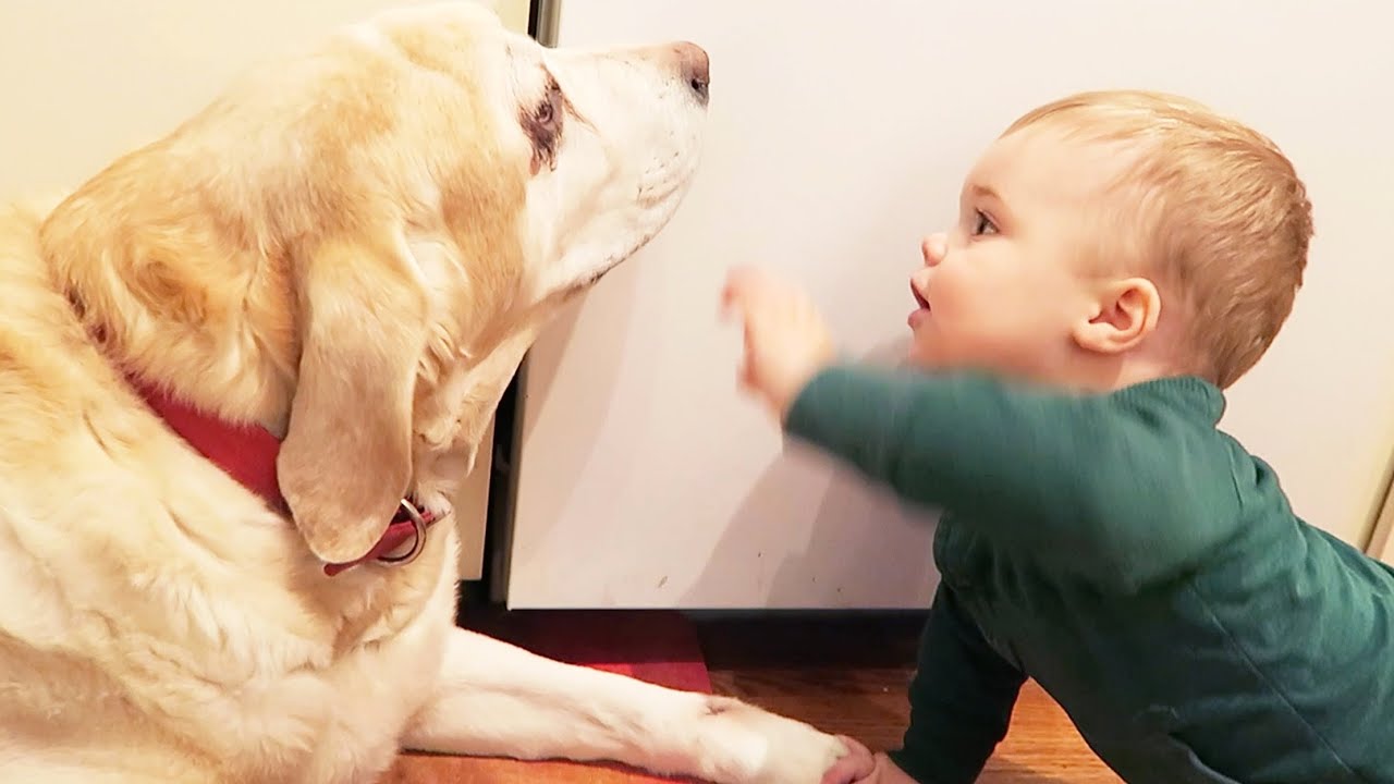 BABY LOVES THE DOG!!