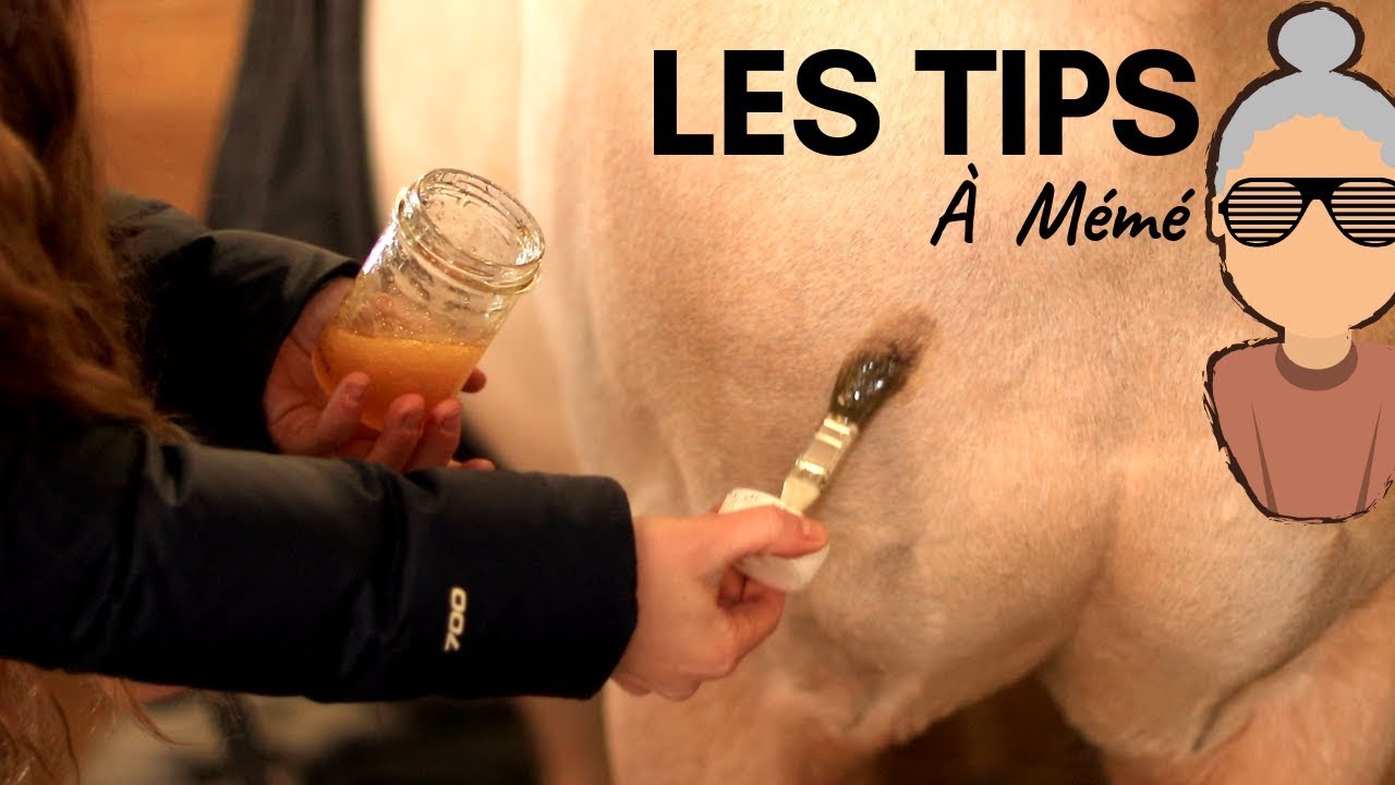 [LES TIPS À MÉMÉ ] 2 crèmes cicatrisantes maisons ! 💉🐴