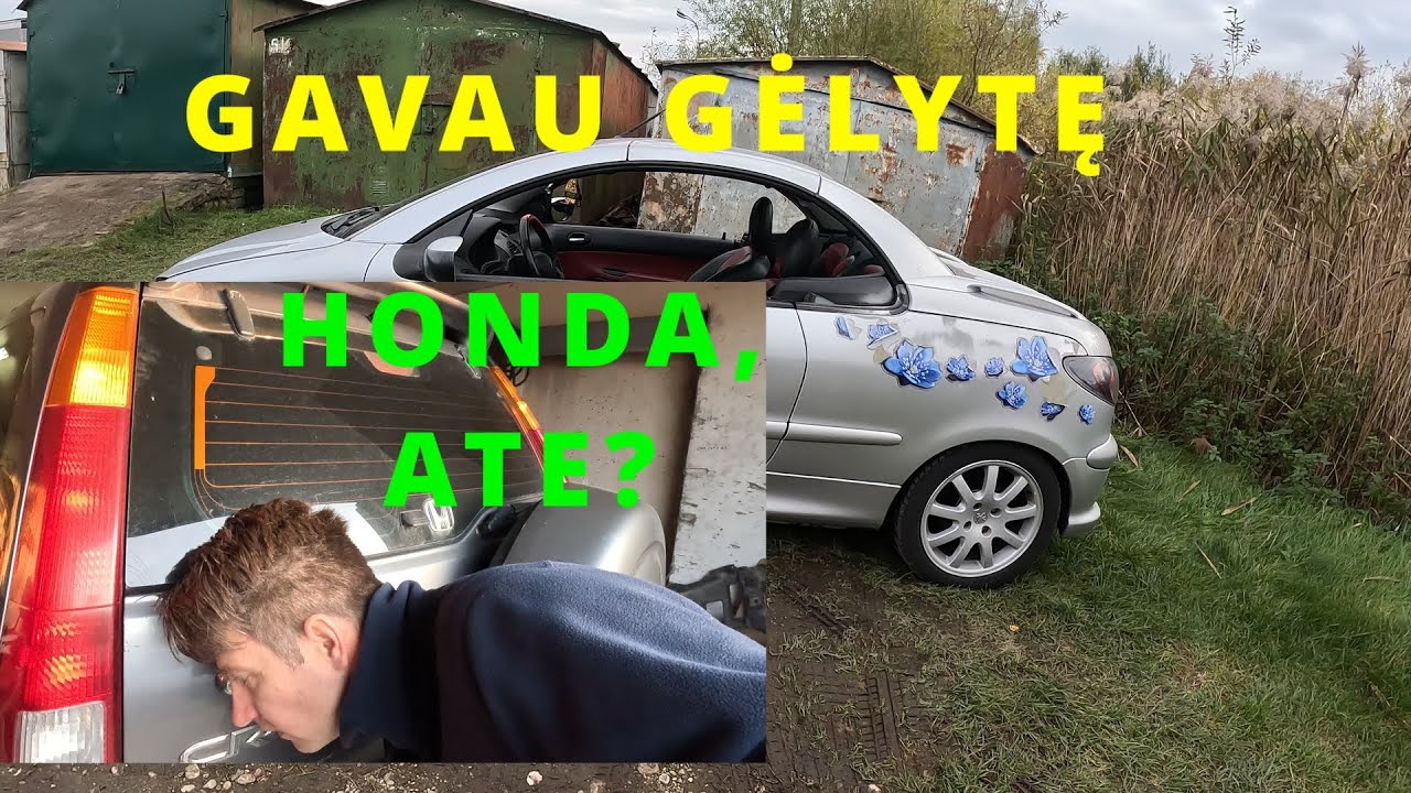 LT PiP S03E28 Gavau gelyte ir atsisveikinam su Honda