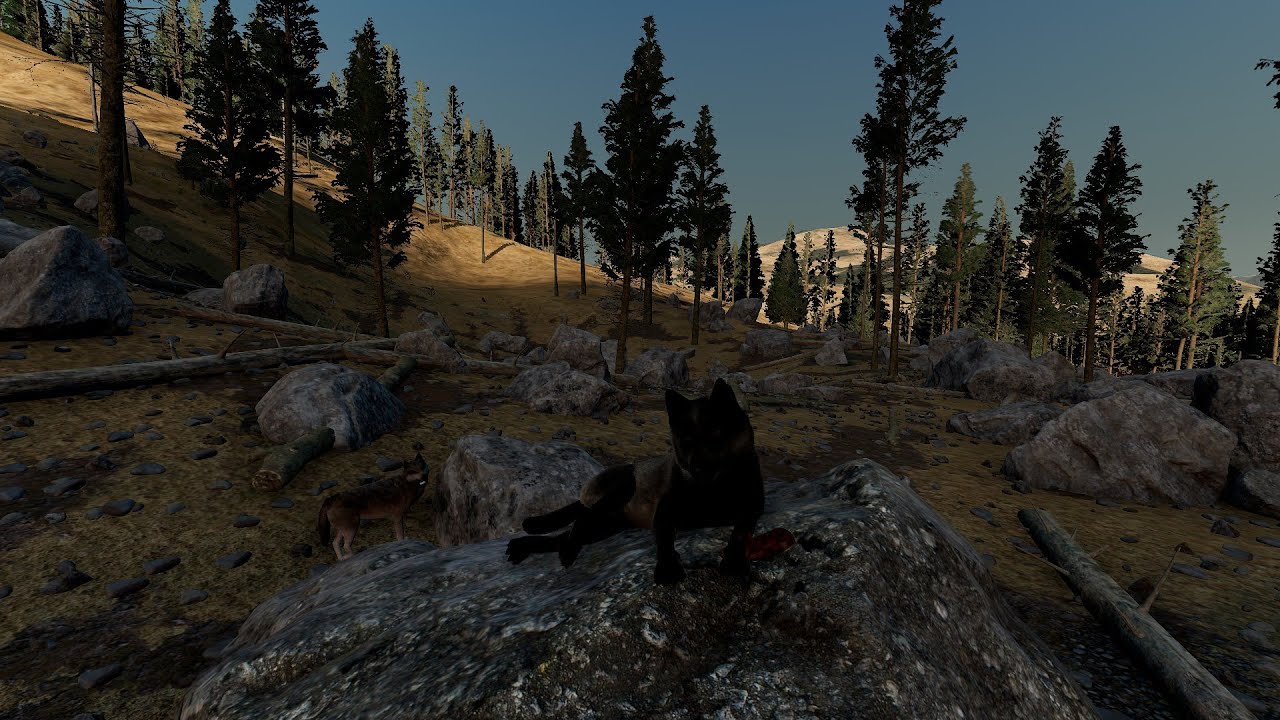 WolfQuest 3 Early Access: Beginning The Search For A Home - Corvid #3