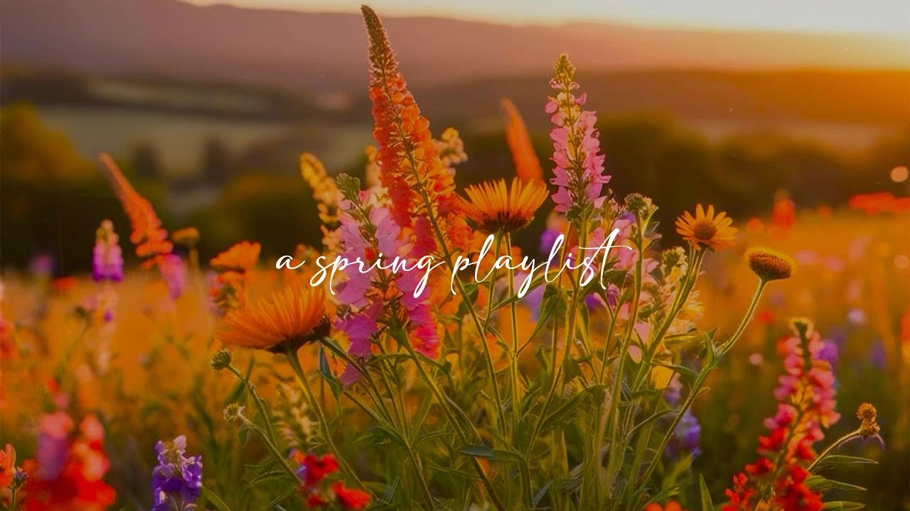 a playlist for a quiet morning 🌸 (spring version)