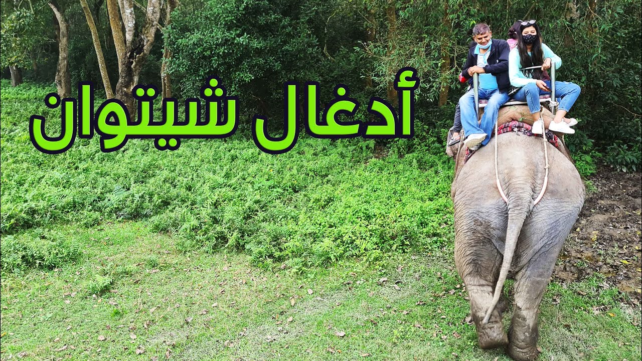 أدغال شيتوان | النيبال | 2021