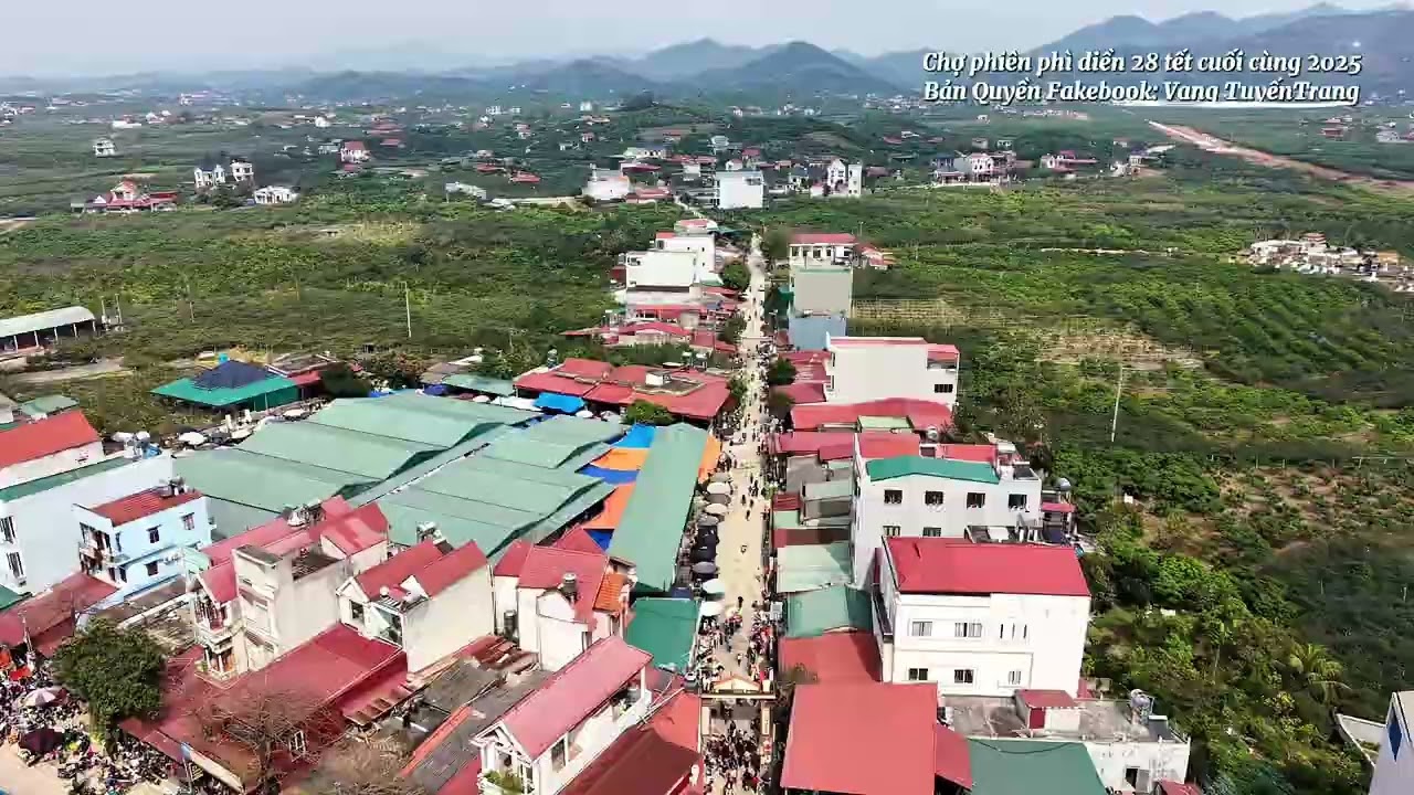 @tuyenpham2383 