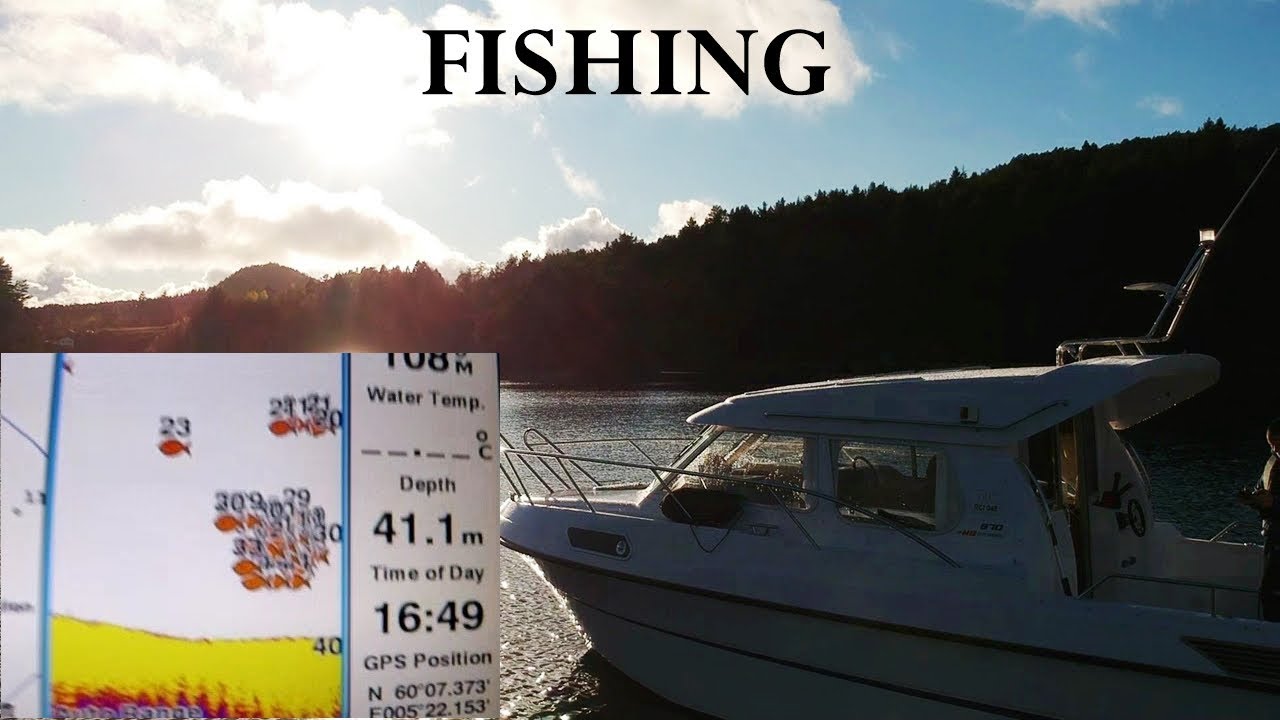Check the fish finder - enormous school of fish