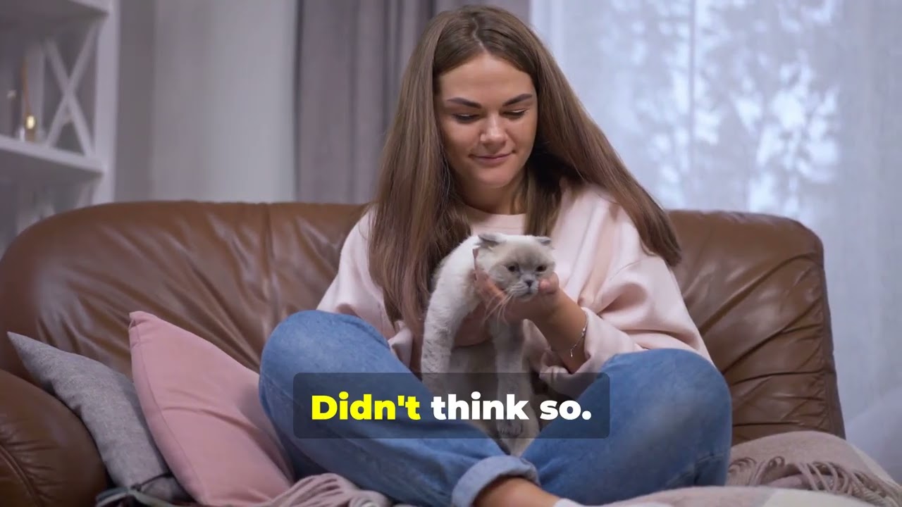 How Cats Choose Their Humans #cat #cateducation #pets #foryou #fyp #foryoupage