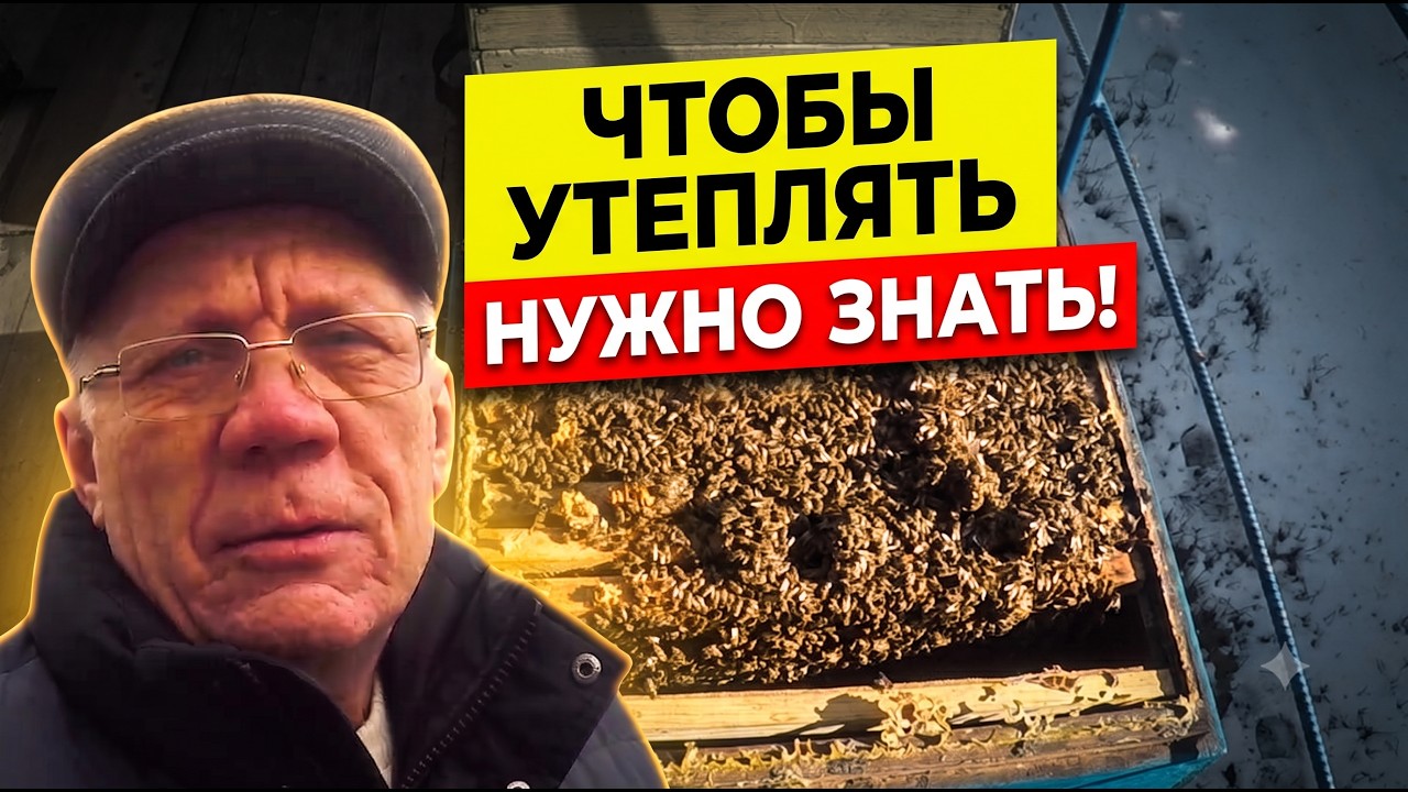 Зимовка пчел на улице. Когда утеплять пчел?
