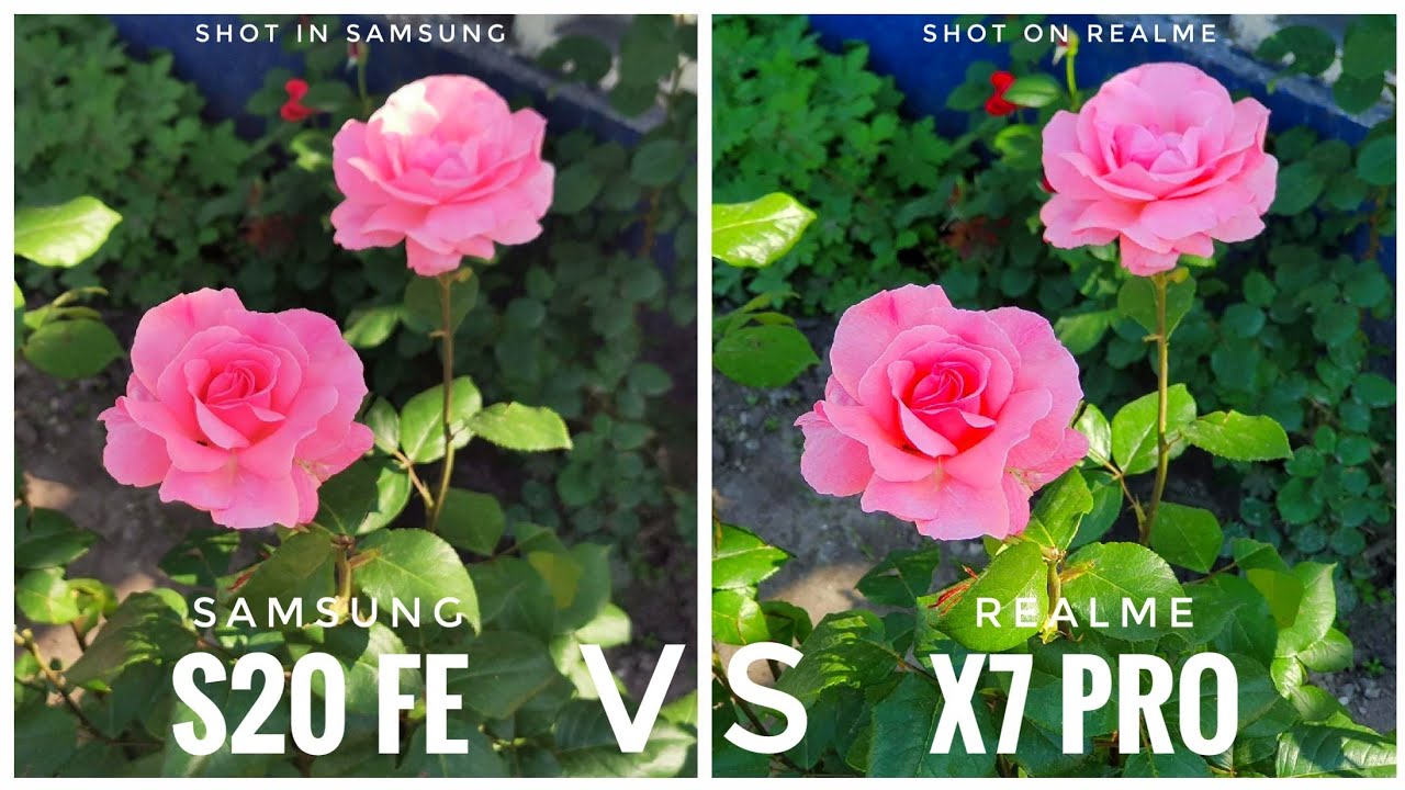 Samsung Galaxy S20 FE VS Realme X7 Pro | CAMERA TEST
